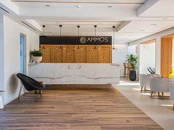 Отель AMMOS BEACH HOTEL 5*