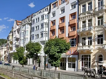 DVORAK SPA HOTEL 4*
