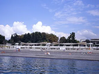 Отель Звездный 4*