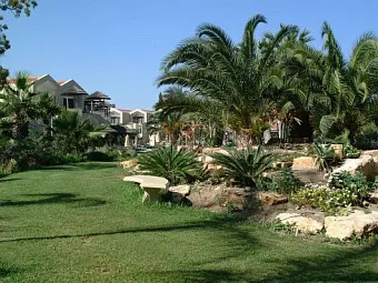 Отель PALM BEACH 4*