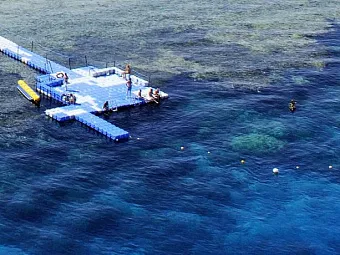  Отель BARON RESORT SHARM EL SHEIKH 5*, Египет, Шарм-Эль-Шейх.