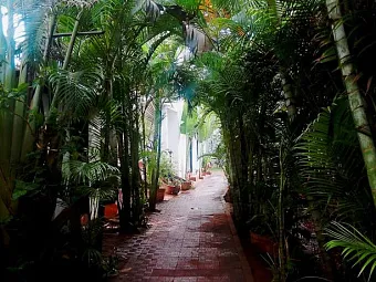 ROCOCCO ASHVEM 3*