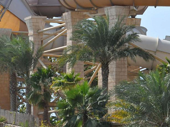  JUMEIRAH BEACH HOTEL 5*