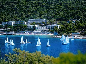 Отель Adriatic 2*