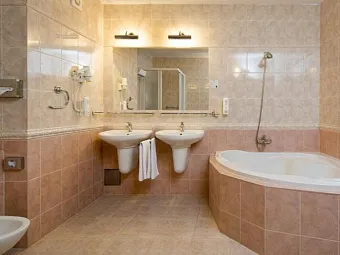  Отель SPA HOTEL PALACE ZVON 4*