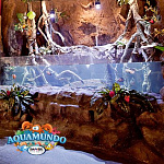 Океанариум Aquamundo в Санто-Доминго