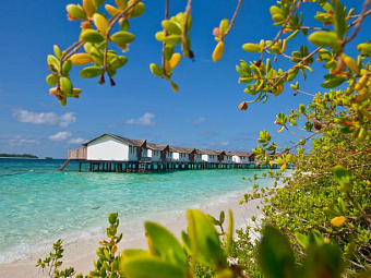 REETHI BEACH RESORT 4*