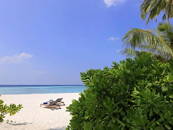 AVANI+ FARES MALDIVES RESORT 5*, Мальдивы, Баа Атолл