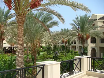Отель IBEROTEL LAMAYA RESORT 5*