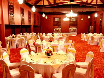 HIKKA TRANZ BY CINNAMON 4*