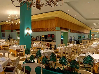 Отель IBEROSTAR ROSE HALL BEACH 5*