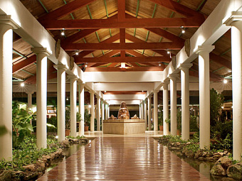  PARADISUS PUNTA CANA 5*