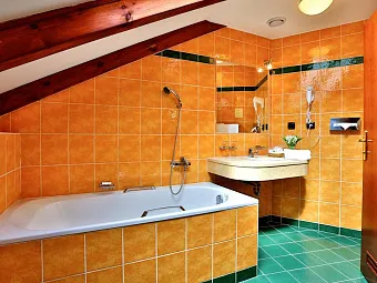 Отель CARLTON 4*