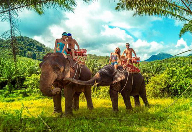 Прогулка на слонах  - почти обязательное развлечение на Шри-Ланке