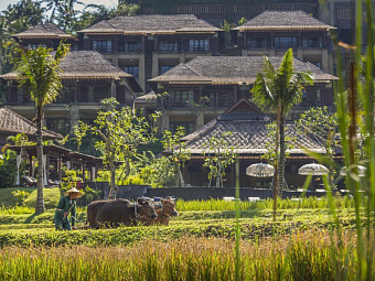 MANDAPA, A RITZ-CARLTON RESERVE 5*