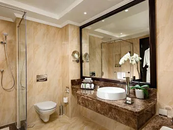 Отель THE AJMAN PALACE 5*