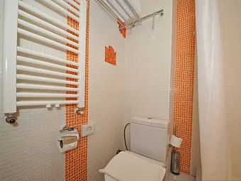  ОЗОН 7 ВЕРШИН 4*