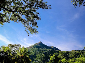  SAVOY RESORT & SPA SEYCHELLES 5*