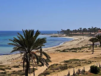 Отель SAFIRA PALMS 4*