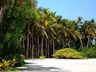 OLHUVELI BEACH & SPA RESORT 4*