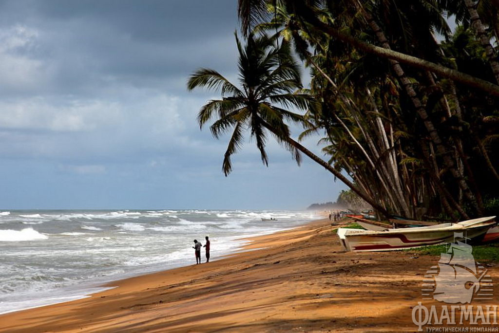 The beach шри ланка