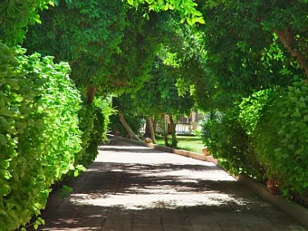  Отель FANTAZIA HOTEL NAAMA BAY 3*, Египет, Шарм-Эль-Шейх.