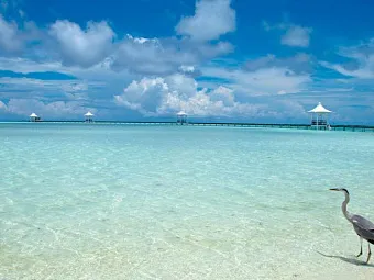 Отель CINNAMON HAKURAA HURAA MALDIVES 4*