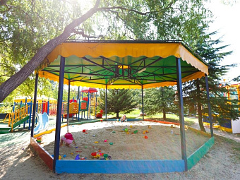 Пансионат ШЕКСНА 4*