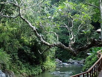 MAYA UBUD RESORT & SPA 5*