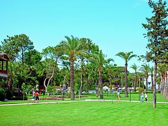 Отель MIRADA DEL MAR HOTEL 5*