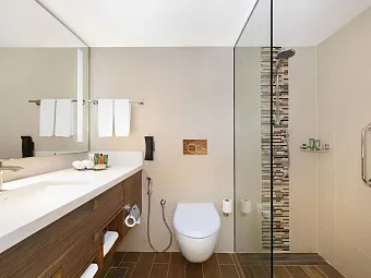 HILTON GARDEN INN RAS AL KHAIMAH 4*