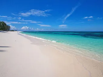 Отель BIRD ISLAND LODGE 3*