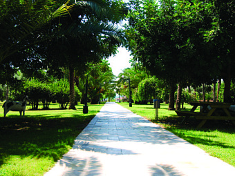 SURAL HOTEL 5*