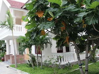 Отель GM DOC LET BEACH RESORT 4*