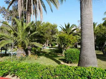 Отель ALASSIO HOTEL & THALASSO 4*