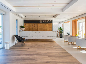  AMMOS BEACH HOTEL 5*