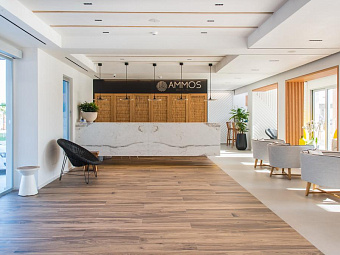 Отель AMMOS BEACH HOTEL 5*