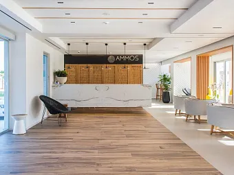Отель AMMOS BEACH HOTEL 5*