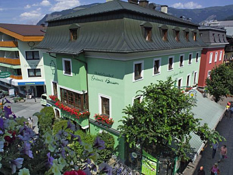 GRUENER BAUM HOTEL 3*