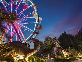 Отель DELPHIN BE GRAND RESORT 5*