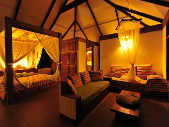 Отель BIRD ISLAND LODGE 3*