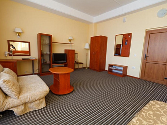 Пансионат ШЕКСНА 4*
