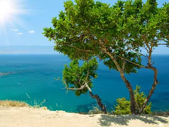  Отель ATLANTICA GARDENS 3*, Кипр, Лимассол.
